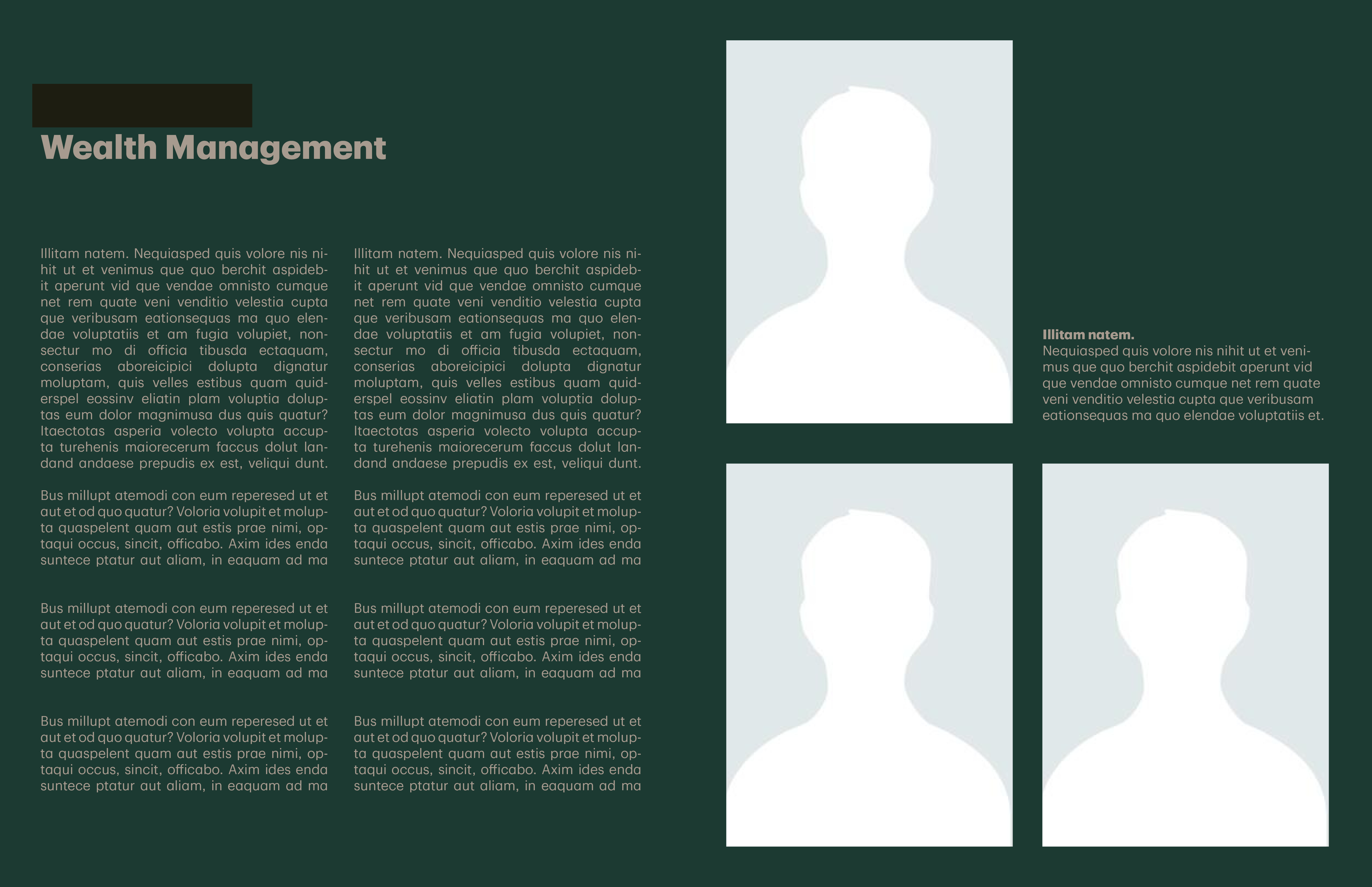 TD process work taupe layout variation 5